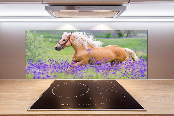 Kitchen splashback Horse in the field of lavender