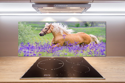 Kitchen splashback Horse in the field of lavender