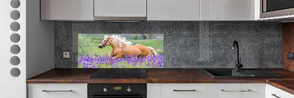 Kitchen splashback Horse in the field of lavender