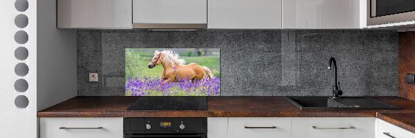 Kitchen splashback Horse in the field of lavender