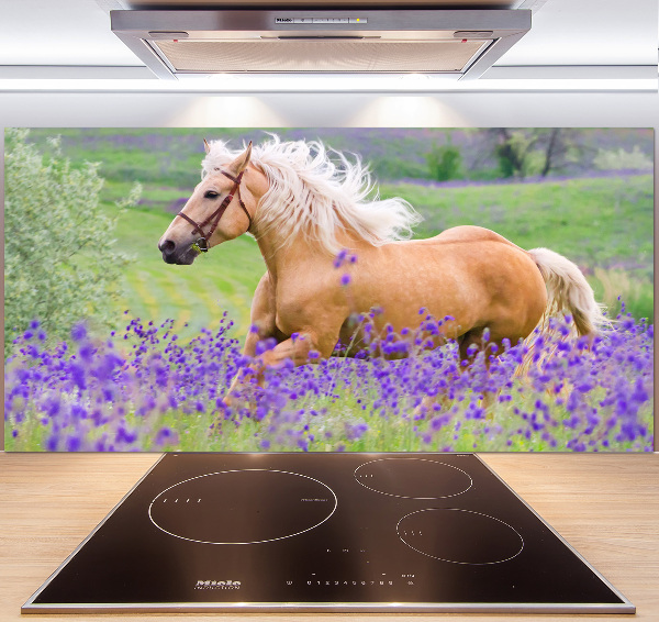 Kitchen splashback Horse in the field of lavender