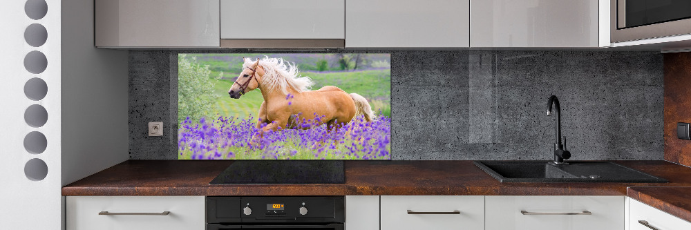 Kitchen splashback Horse in the field of lavender