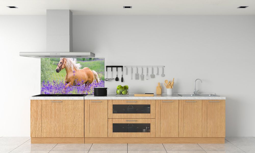 Kitchen splashback Horse in the field of lavender