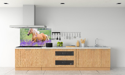 Kitchen splashback Horse in the field of lavender