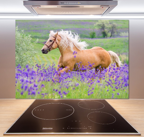 Kitchen splashback Horse in the field of lavender