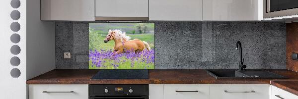 Kitchen splashback Horse in the field of lavender