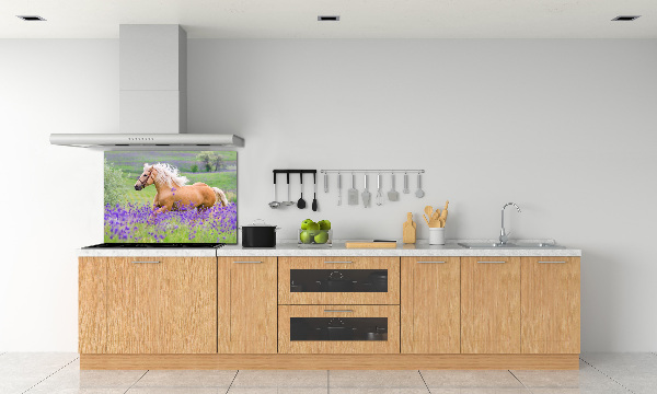 Kitchen splashback Horse in the field of lavender