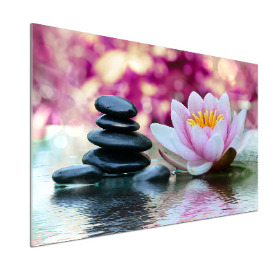 Kitchen wall panels water lily