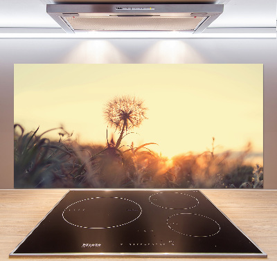 Cooker splashback Dandelion