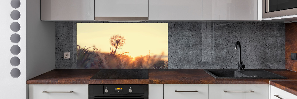 Cooker splashback Dandelion