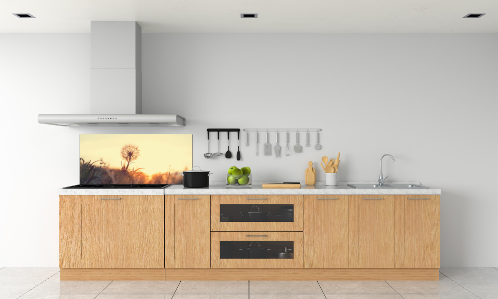 Cooker splashback Dandelion