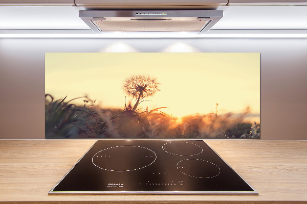 Cooker splashback Dandelion