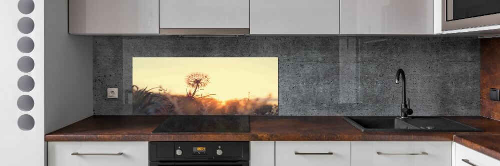 Cooker splashback Dandelion