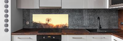 Cooker splashback Dandelion