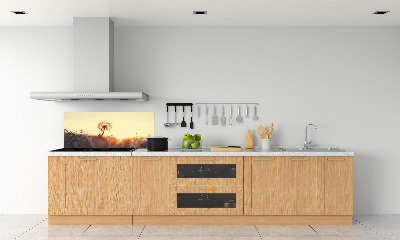 Cooker splashback Dandelion