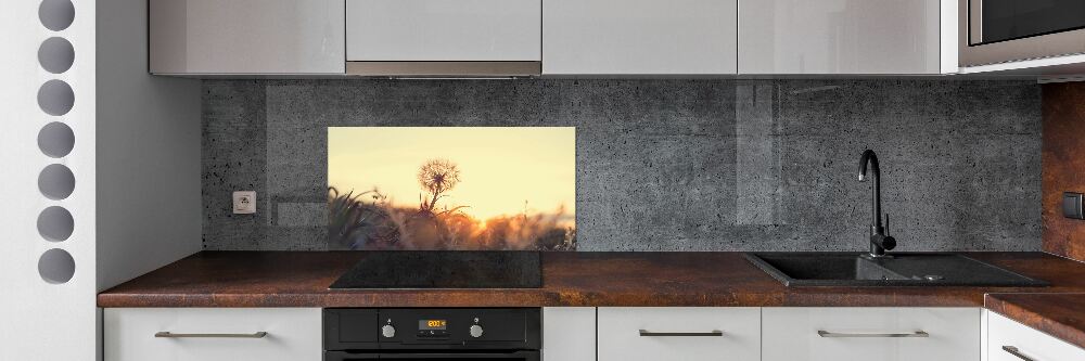 Cooker splashback Dandelion