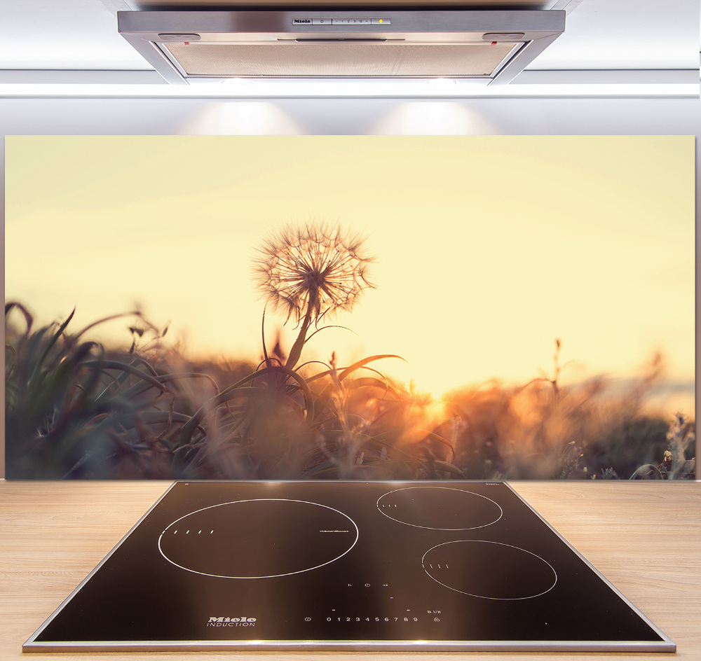 Cooker splashback Dandelion