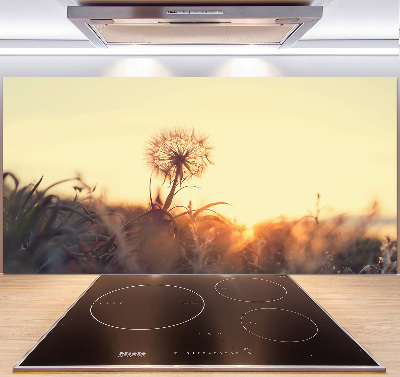 Cooker splashback Dandelion