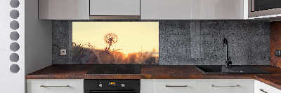 Cooker splashback Dandelion