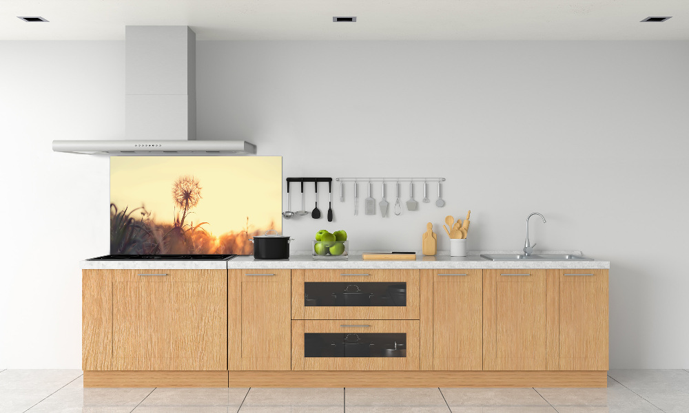 Cooker splashback Dandelion