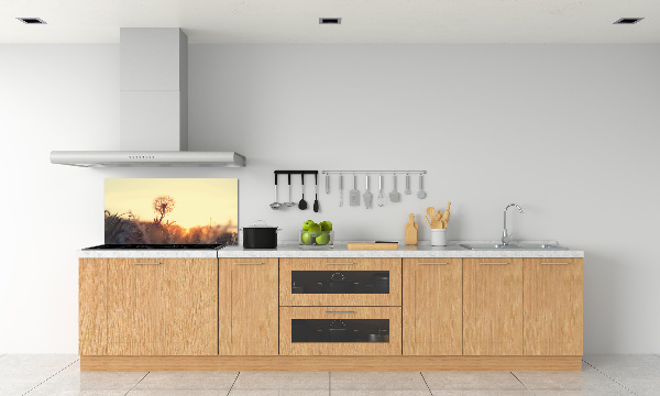 Cooker splashback Dandelion