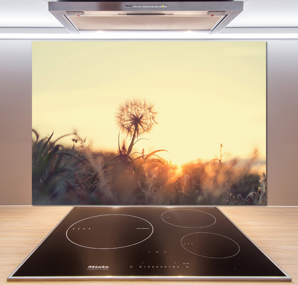 Cooker splashback Dandelion