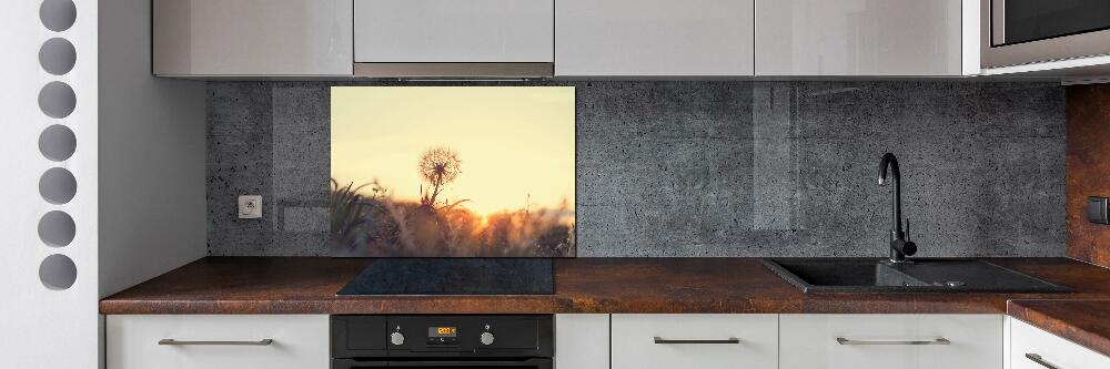 Cooker splashback Dandelion