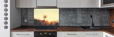 Cooker splashback Dandelion