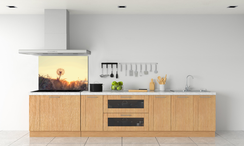 Cooker splashback Dandelion