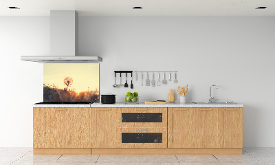 Cooker splashback Dandelion