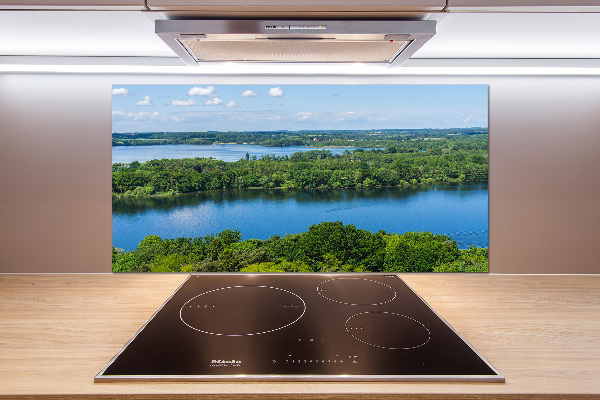 Cooker splashback Forest by the lake