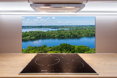 Cooker splashback Forest by the lake