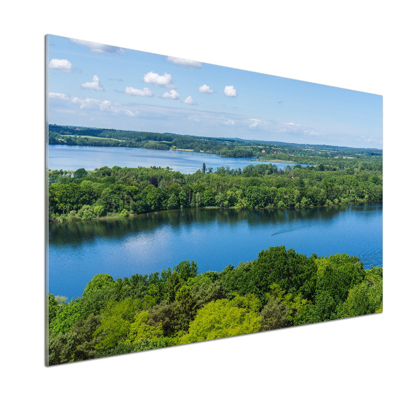 Cooker splashback Forest by the lake