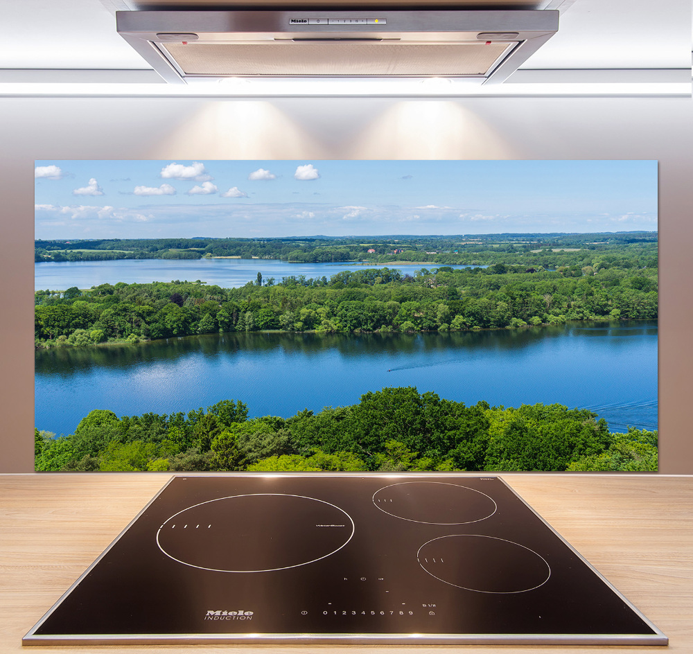 Cooker splashback Forest by the lake