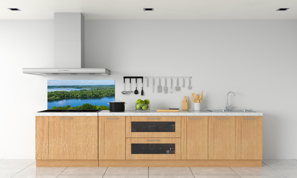 Cooker splashback Forest by the lake