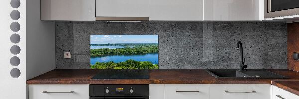 Cooker splashback Forest by the lake