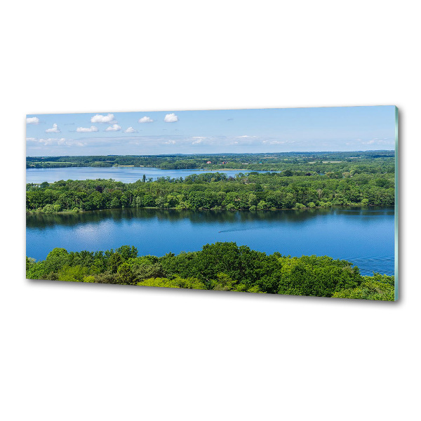 Cooker splashback Forest by the lake