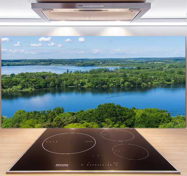 Cooker splashback Forest by the lake