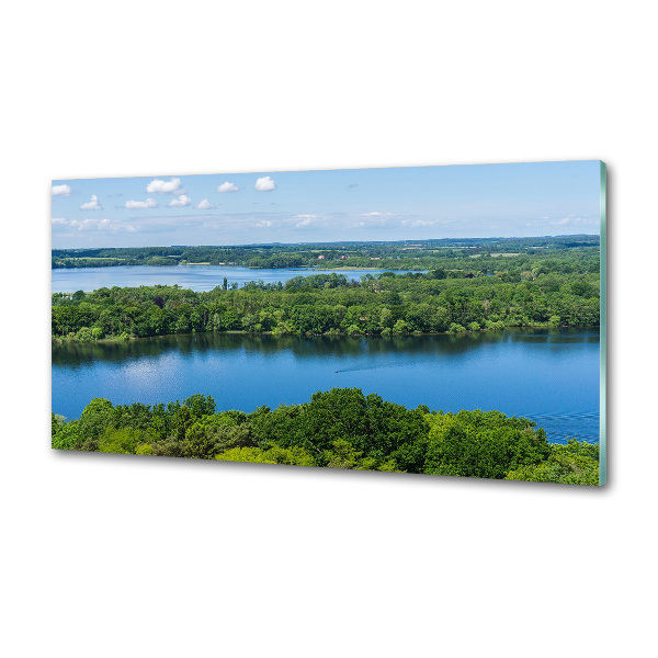 Cooker splashback Forest by the lake