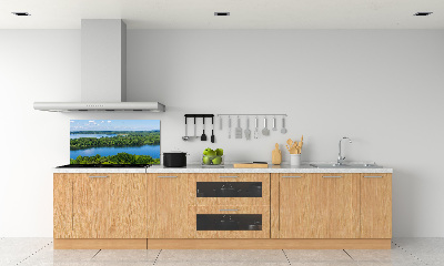 Cooker splashback Forest by the lake