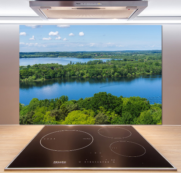 Cooker splashback Forest by the lake