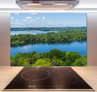 Cooker splashback Forest by the lake