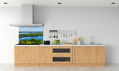 Cooker splashback Forest by the lake