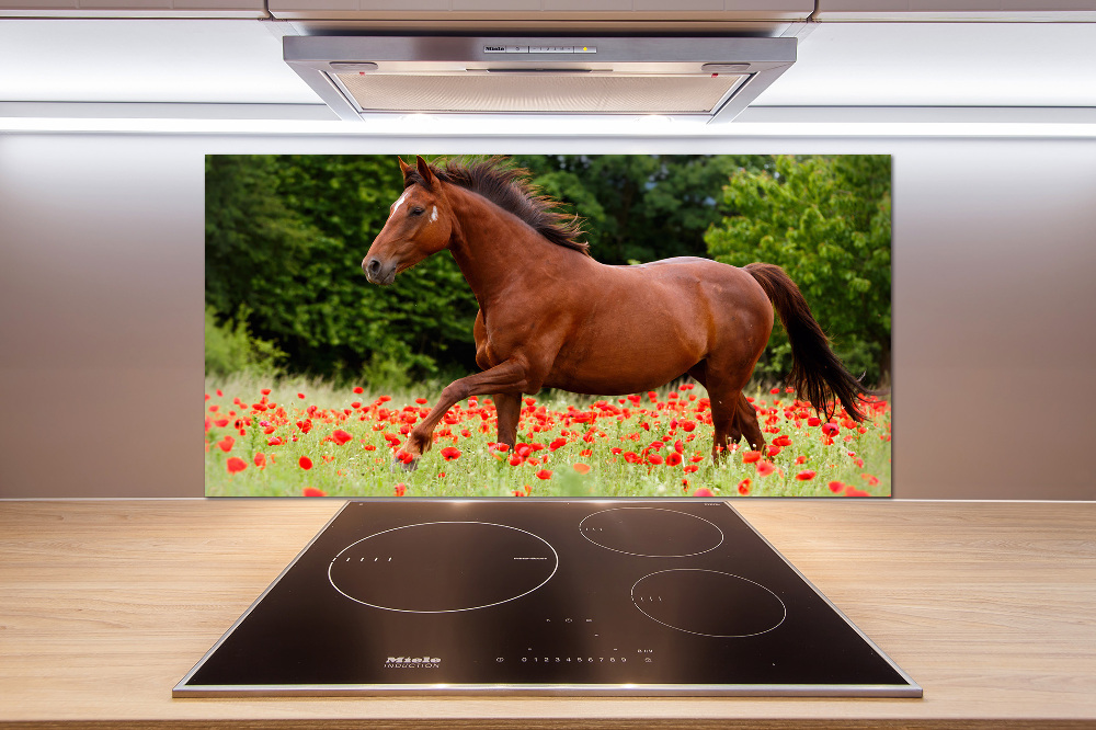 Kitchen splashback A horse in the field of poppies