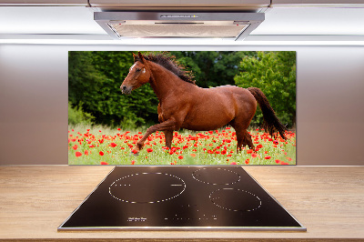 Kitchen splashback A horse in the field of poppies