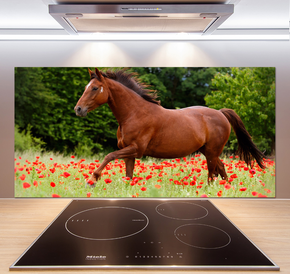 Kitchen splashback A horse in the field of poppies