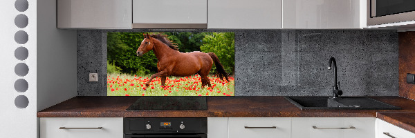 Kitchen splashback A horse in the field of poppies