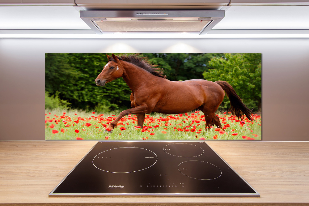 Kitchen splashback A horse in the field of poppies