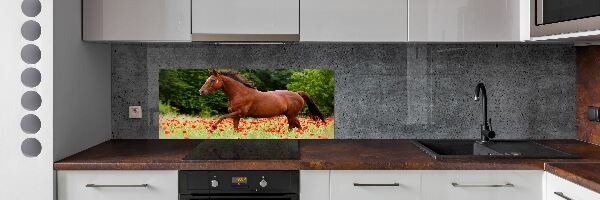 Kitchen splashback A horse in the field of poppies