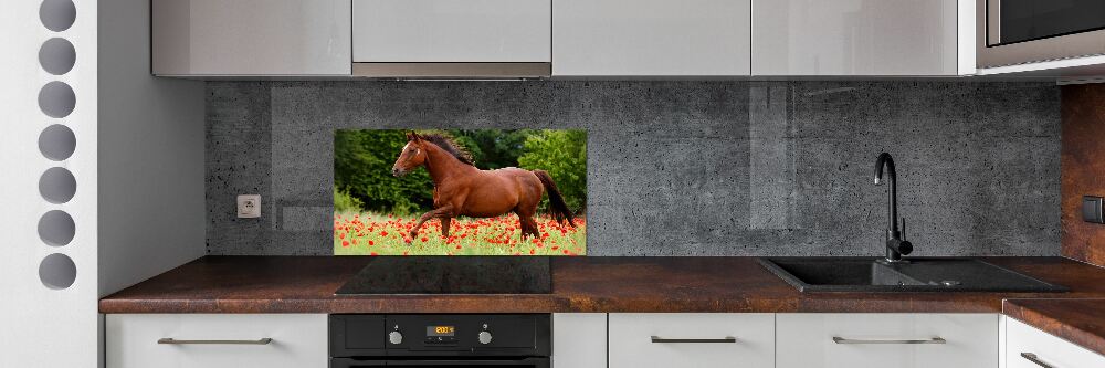 Kitchen splashback A horse in the field of poppies